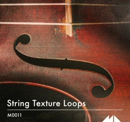 ModeAudio String Texture Loops WAV